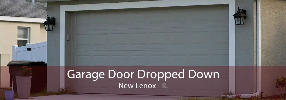 Garage Door Dropped Down New Lenox - IL