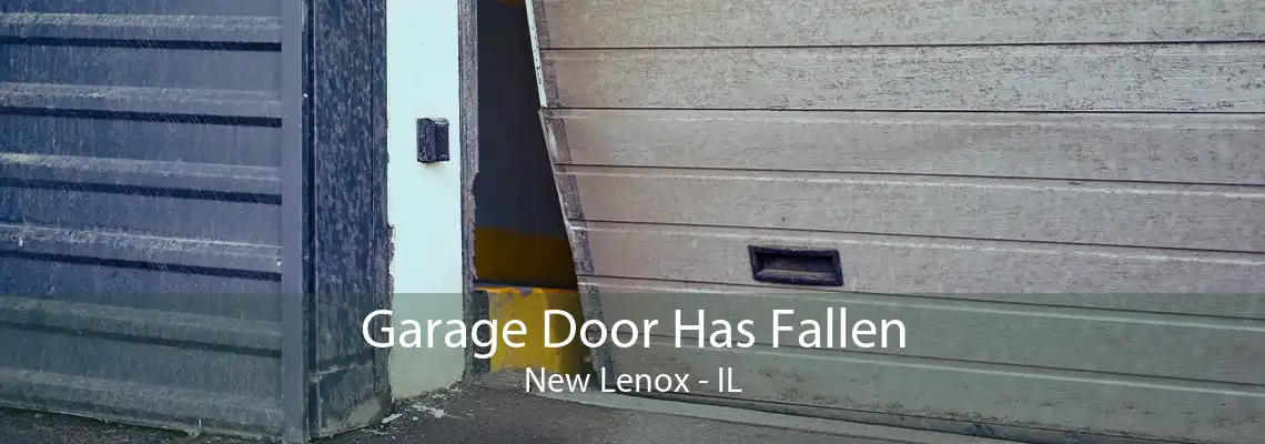 Garage Door Has Fallen New Lenox - IL