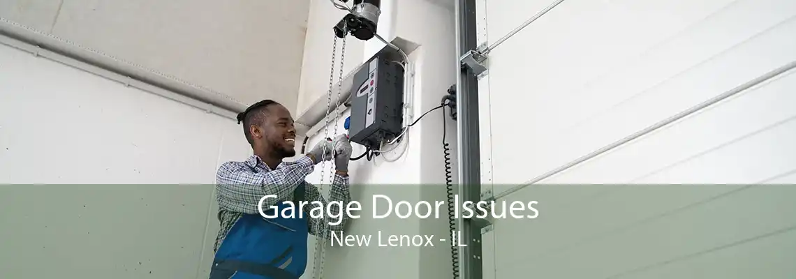 Garage Door Issues New Lenox - IL