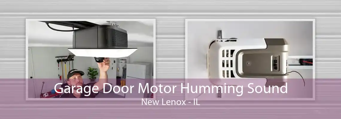 Garage Door Motor Humming Sound New Lenox - IL