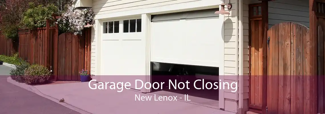 Garage Door Not Closing New Lenox - IL