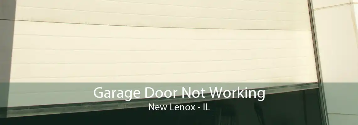 Garage Door Not Working New Lenox - IL