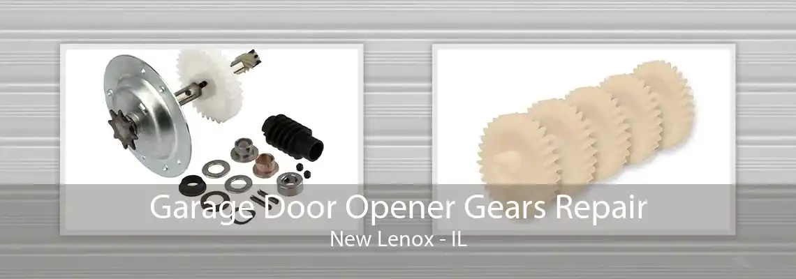 Garage Door Opener Gears Repair New Lenox - IL