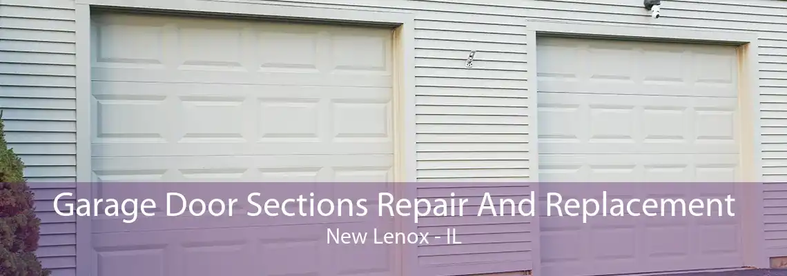 Garage Door Sections Repair And Replacement New Lenox - IL