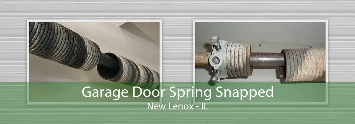 Garage Door Spring Snapped New Lenox - IL