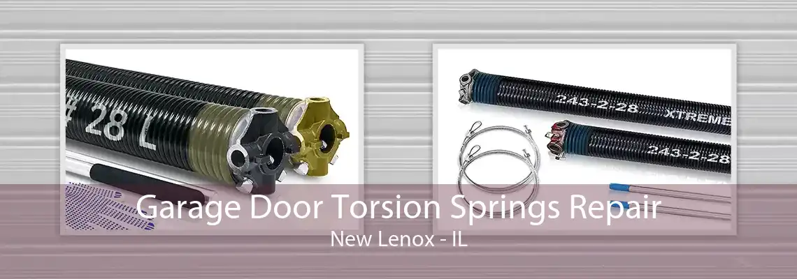 Garage Door Torsion Springs Repair New Lenox - IL