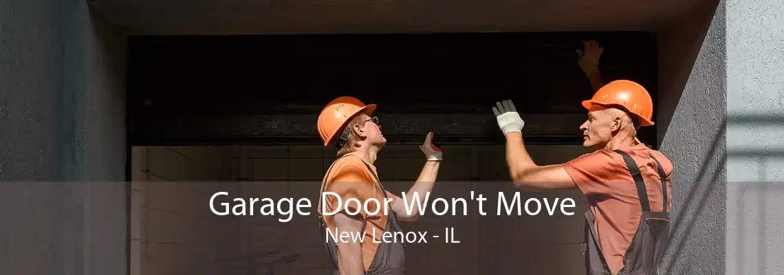 Garage Door Won't Move New Lenox - IL