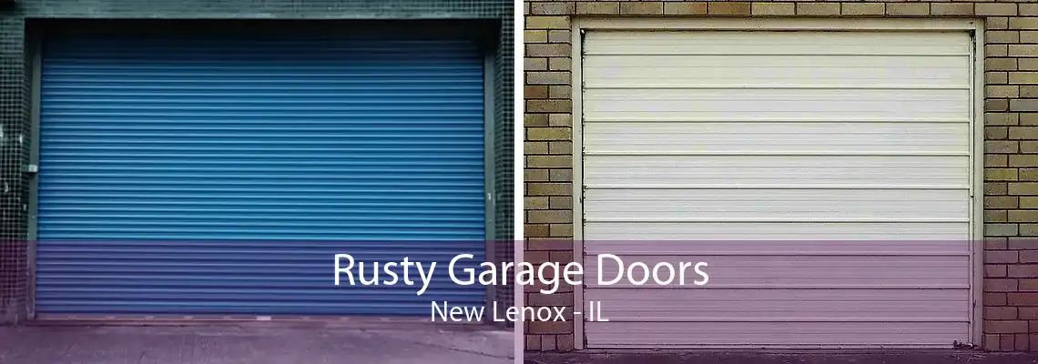 Rusty Garage Doors New Lenox - IL